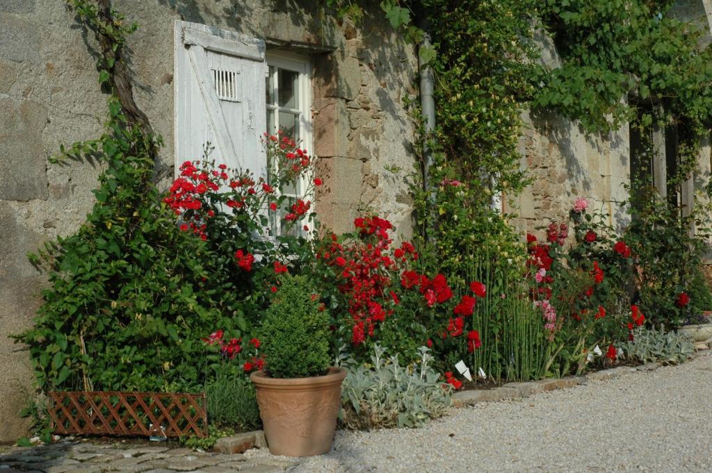 Chateau De L'Oiseliniere Bed & Breakfast Gorges  Exterior photo