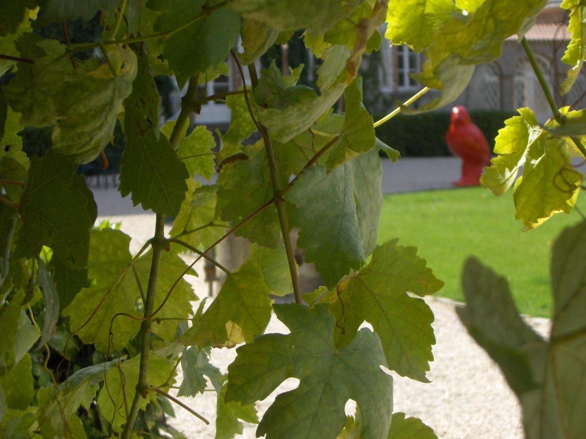 Chateau De L'Oiseliniere Bed & Breakfast Gorges  Exterior photo